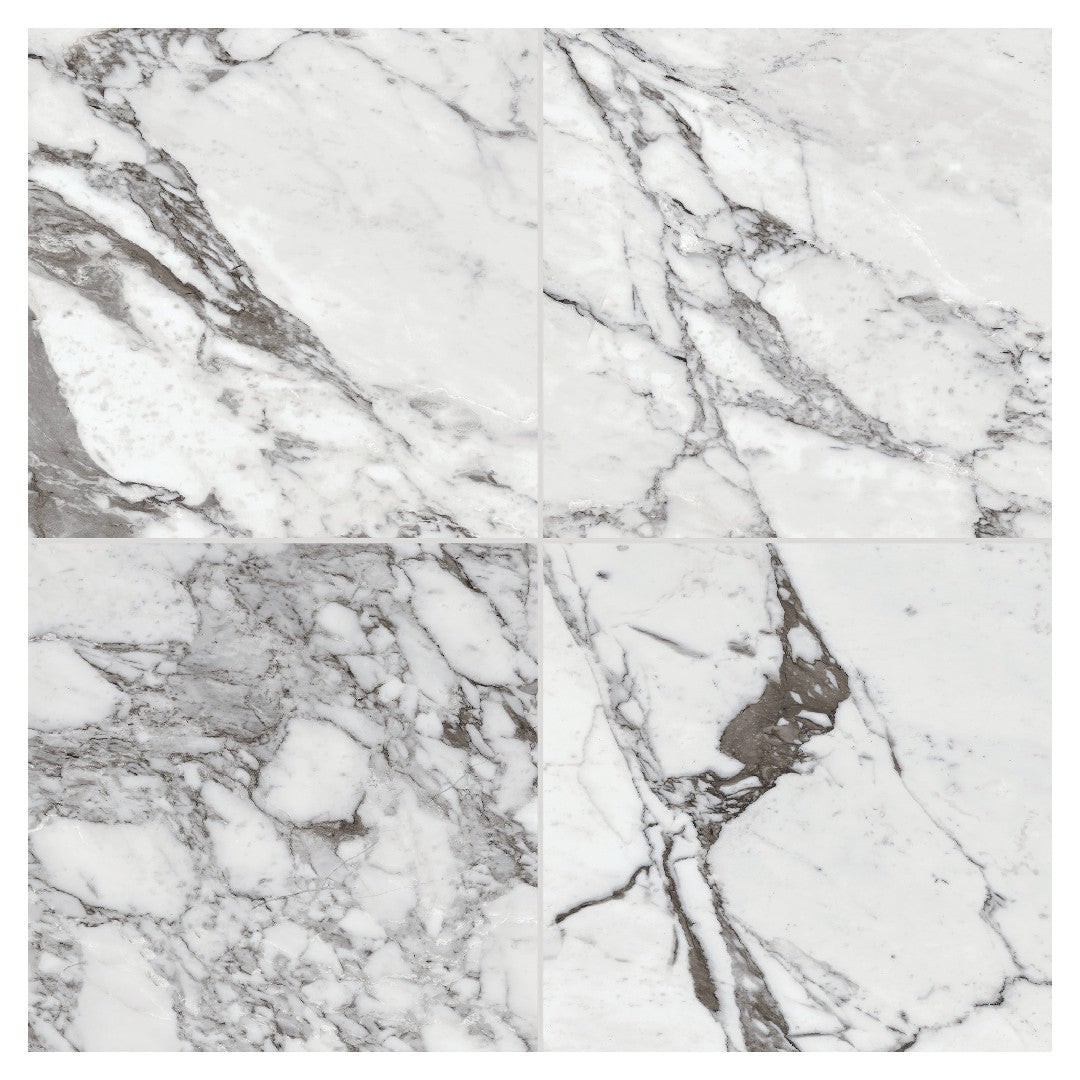 Daltile Marble Attache Lavish 24" x 24" Rectified Polished Porcelain Floor Tile