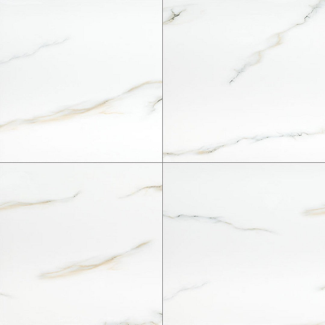 MS International Aria 24" x 24" Polished Porcelain Tile