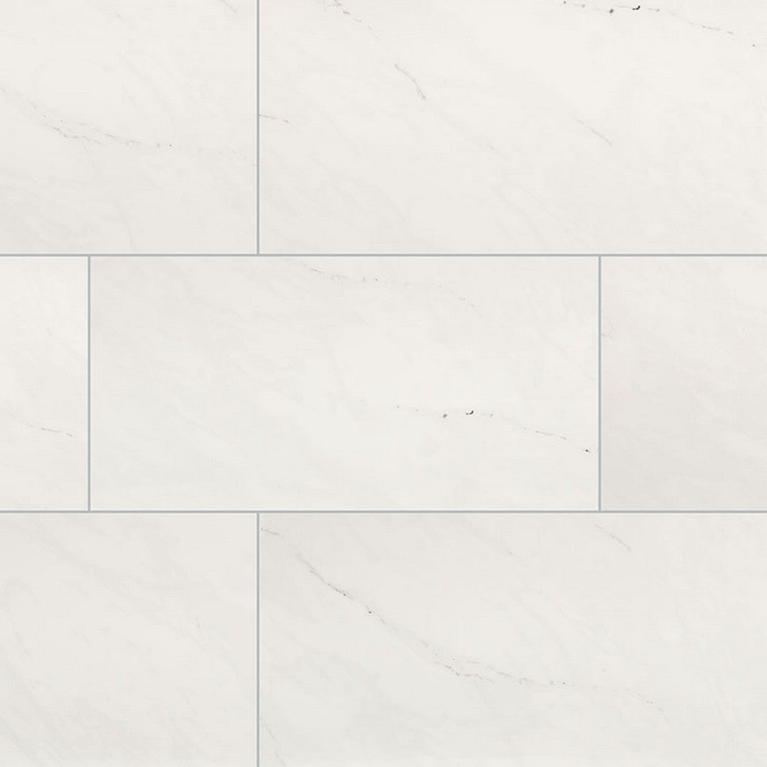 MS International Aria 24" x 48" Polished Porcelain Tile