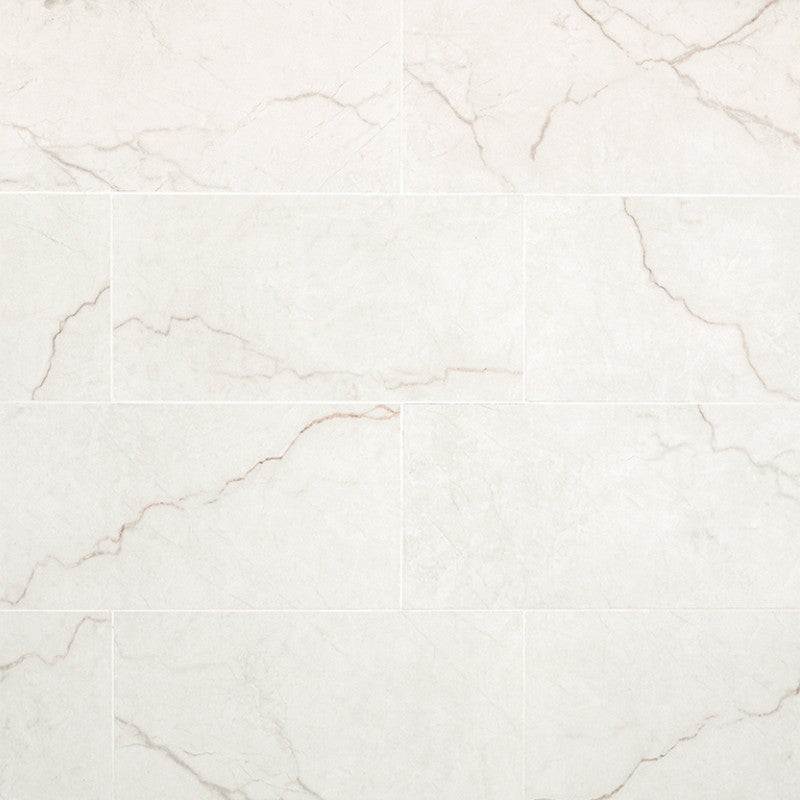 MS International Brighton 12" x 24" Polished Porcelain Tile