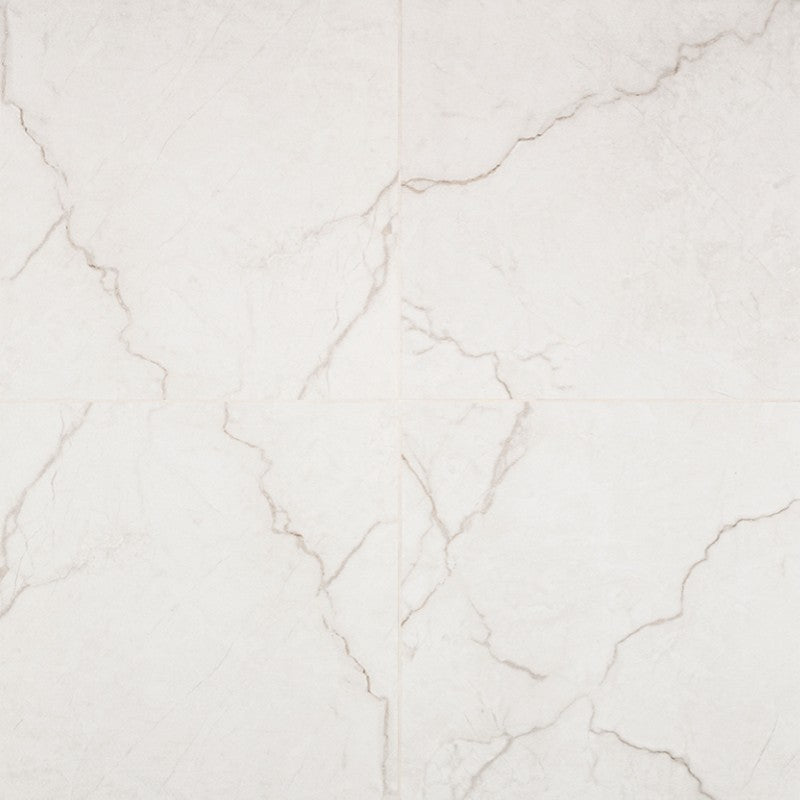 MS International Brighton 24" x 24" Polished Porcelain Tile