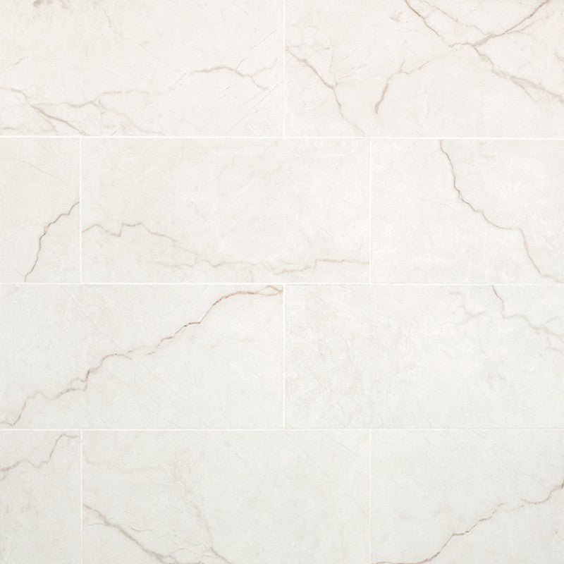 MS International Brighton 24" x 48" Polished Porcelain Tile