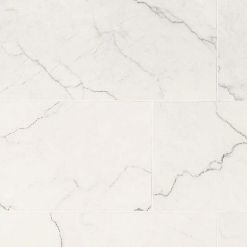 MS International Brighton 12" x 24" Polished Porcelain Tile