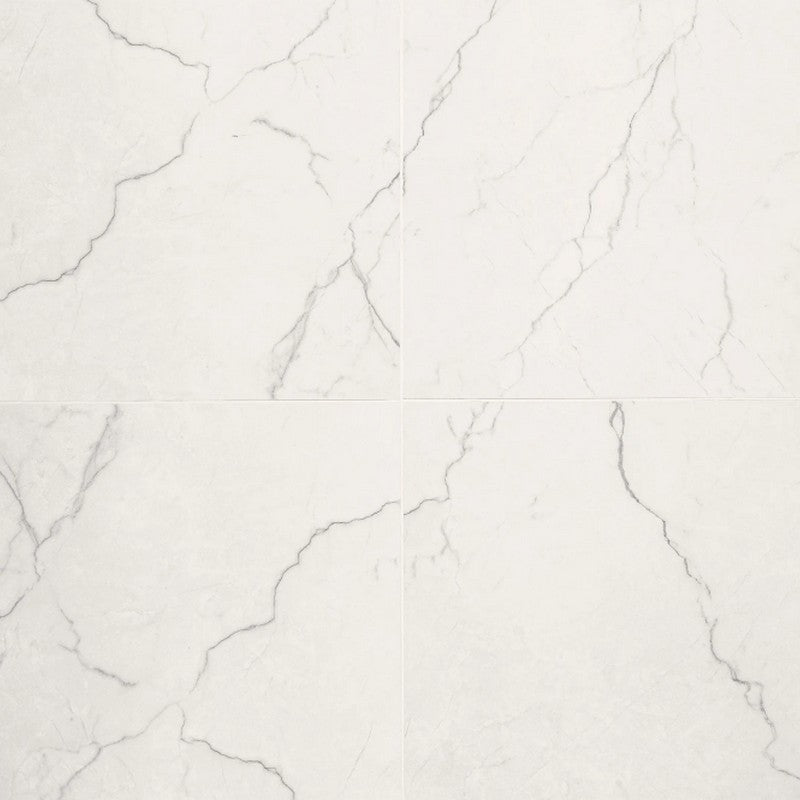 MS International Brighton 24" x 24" Polished Porcelain Tile