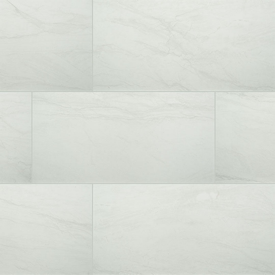 MS International Durban 12" x 24" Polished Porcelain Tile