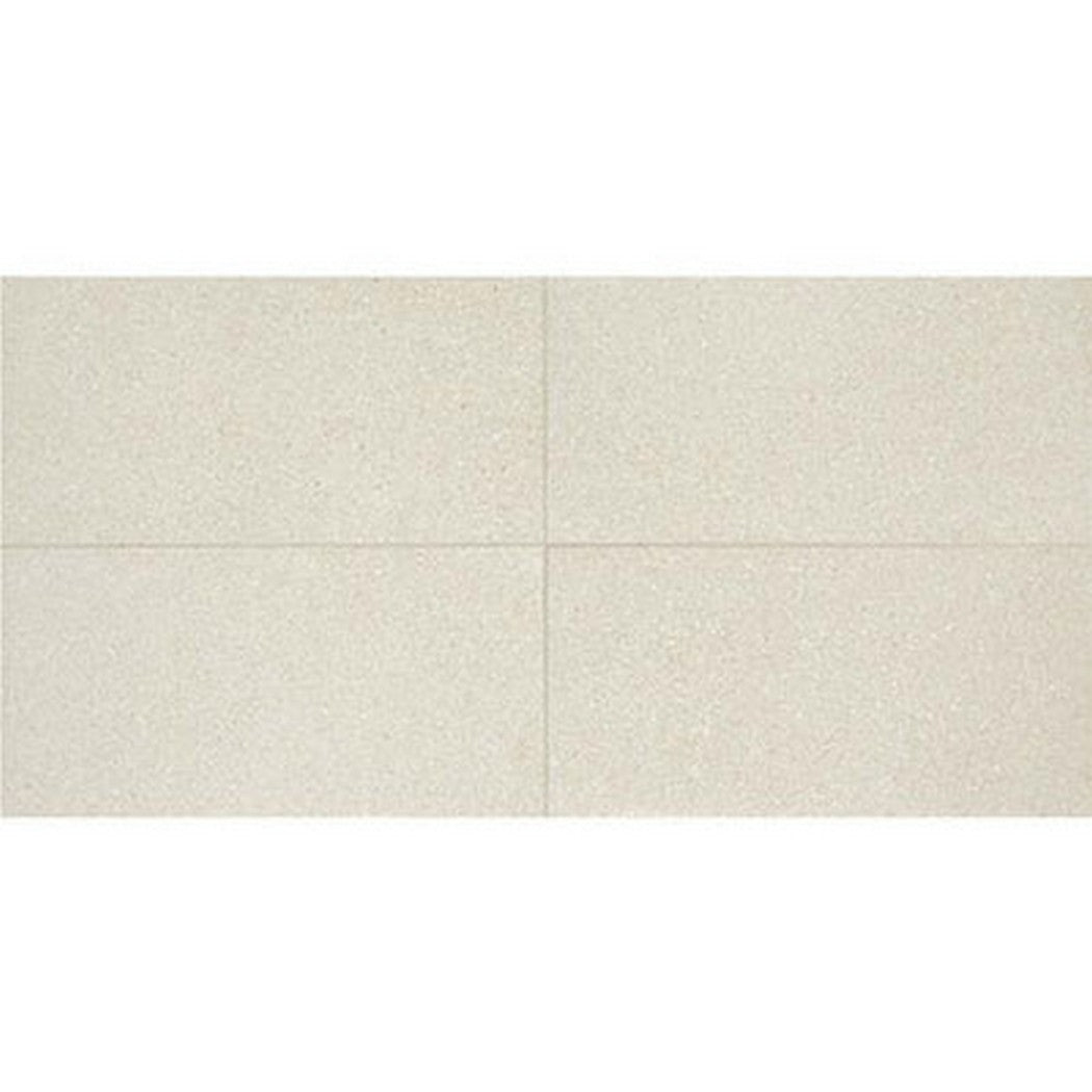 American Olean Neospeck 12" x 24" Light Polished Porcelain Tile