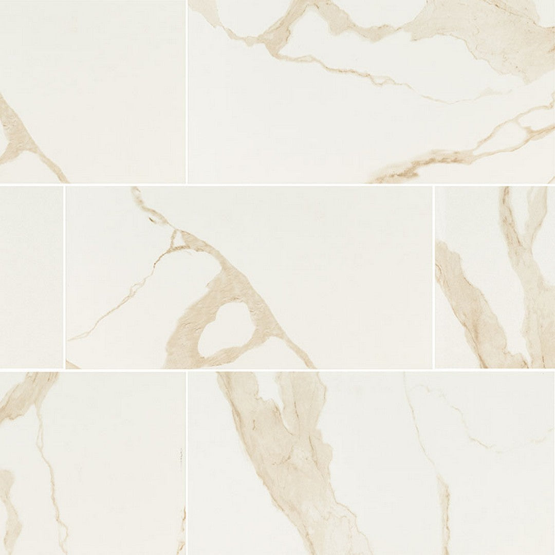 MS International Eden 12" x 24" Polished Porcelain Tile