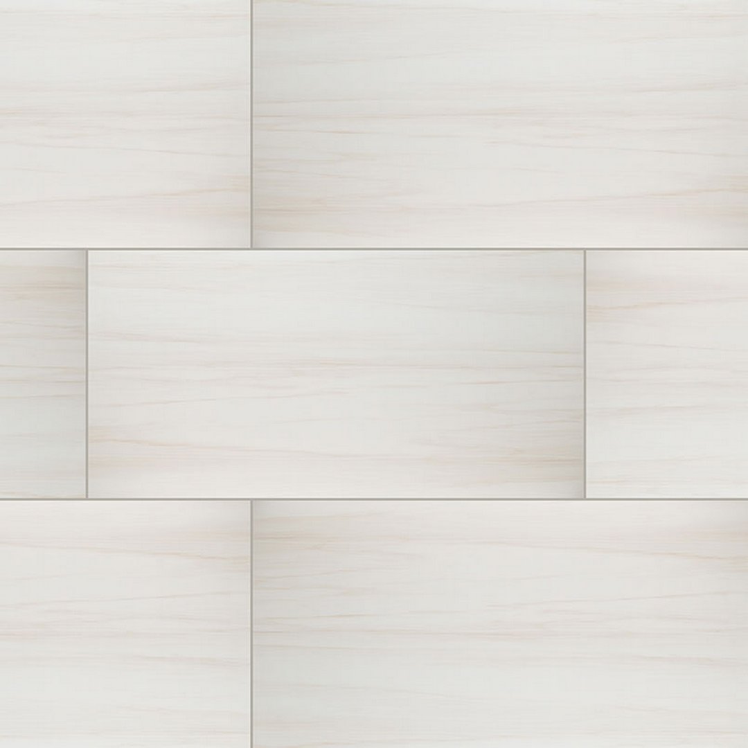 MS International Eden 24" x 48" Polished Porcelain Tile