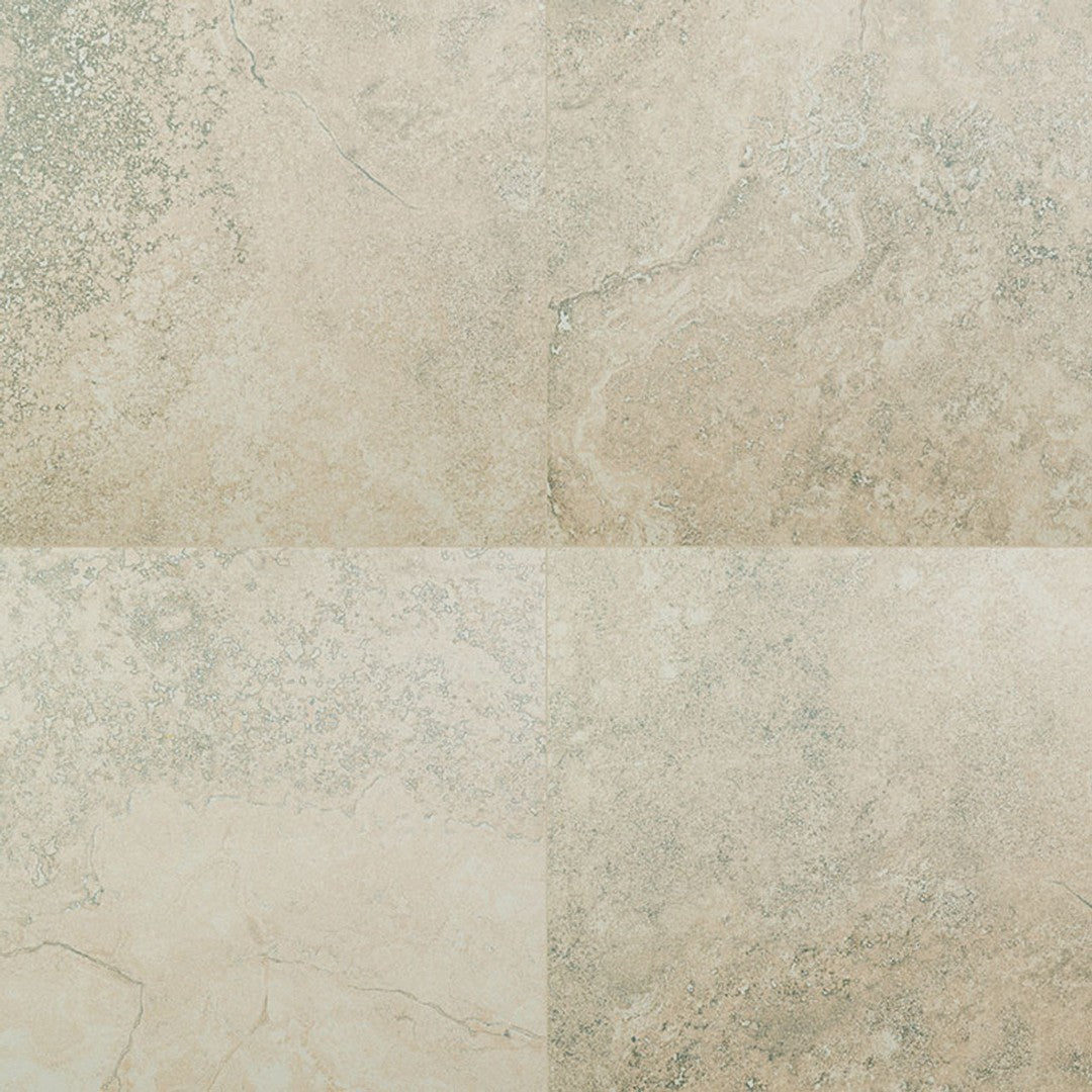 MS International Legend 20" x 20" Matte Porcelain Tile