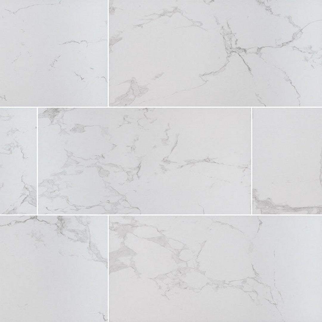 MS International Praia 12" x 24" Matte Porcelain Tile