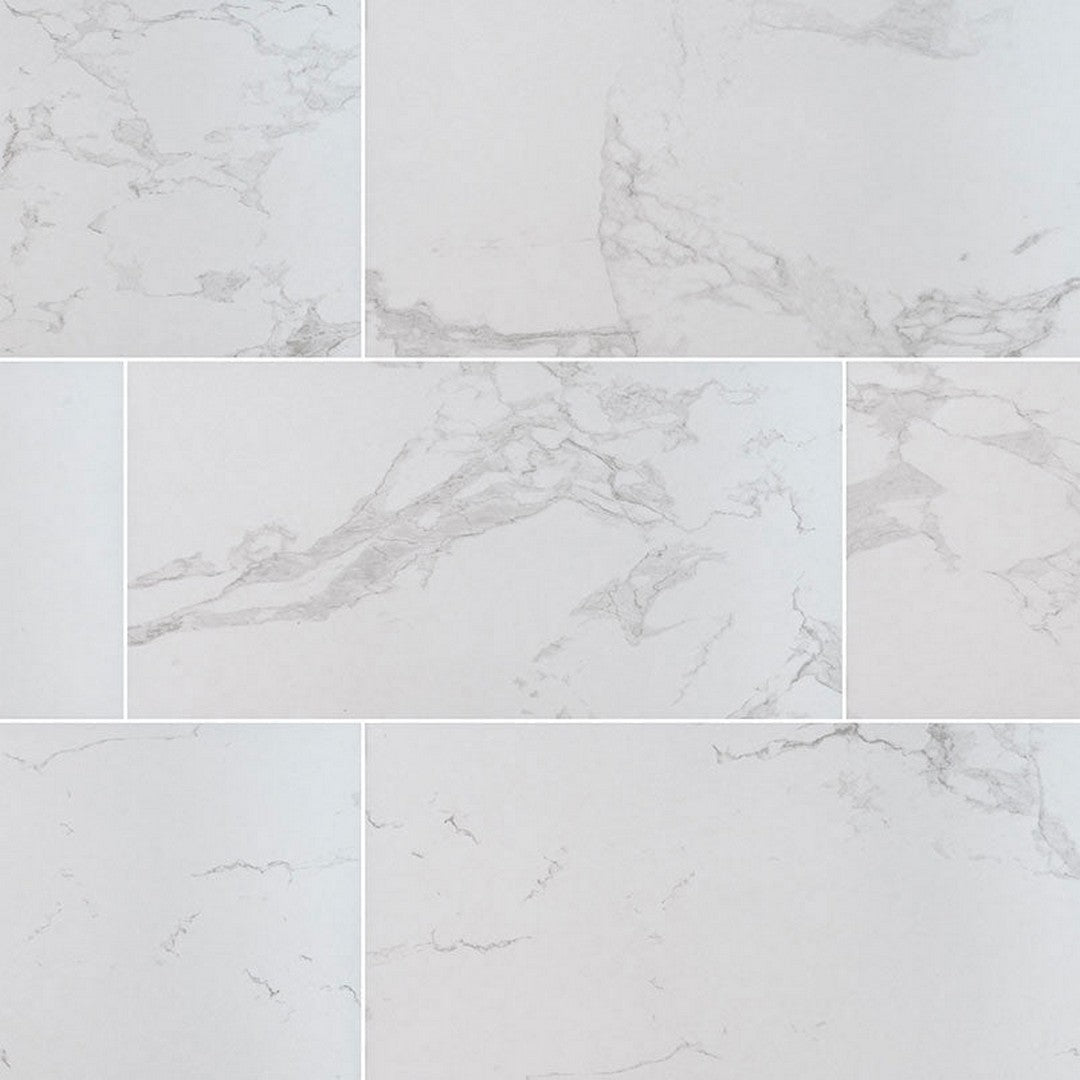 MS International Praia 24" x 48" Matte Porcelain Tile 10mm