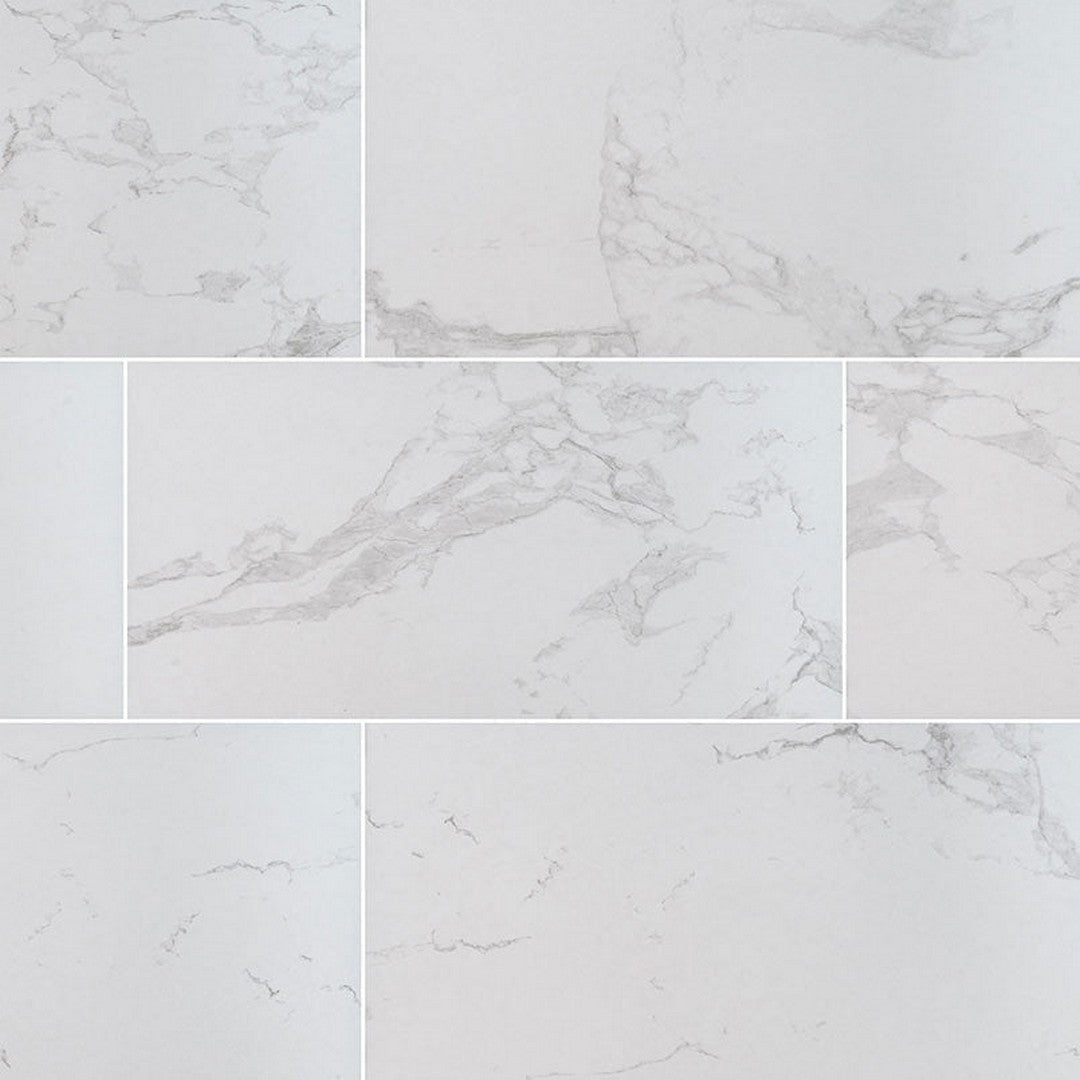 MS International Praia 24" x 48" Polished Porcelain Tile 10mm