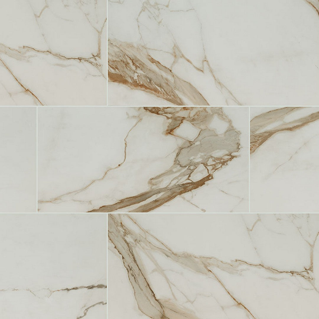 MS International Regallo 24" x 48" Matte Porcelain Tile