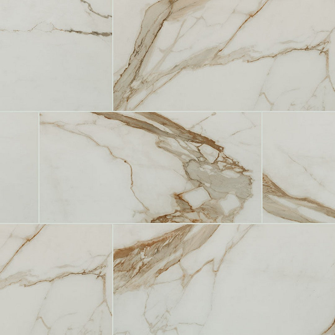 MS International Regallo 24" x 48" Polished Porcelain Tile