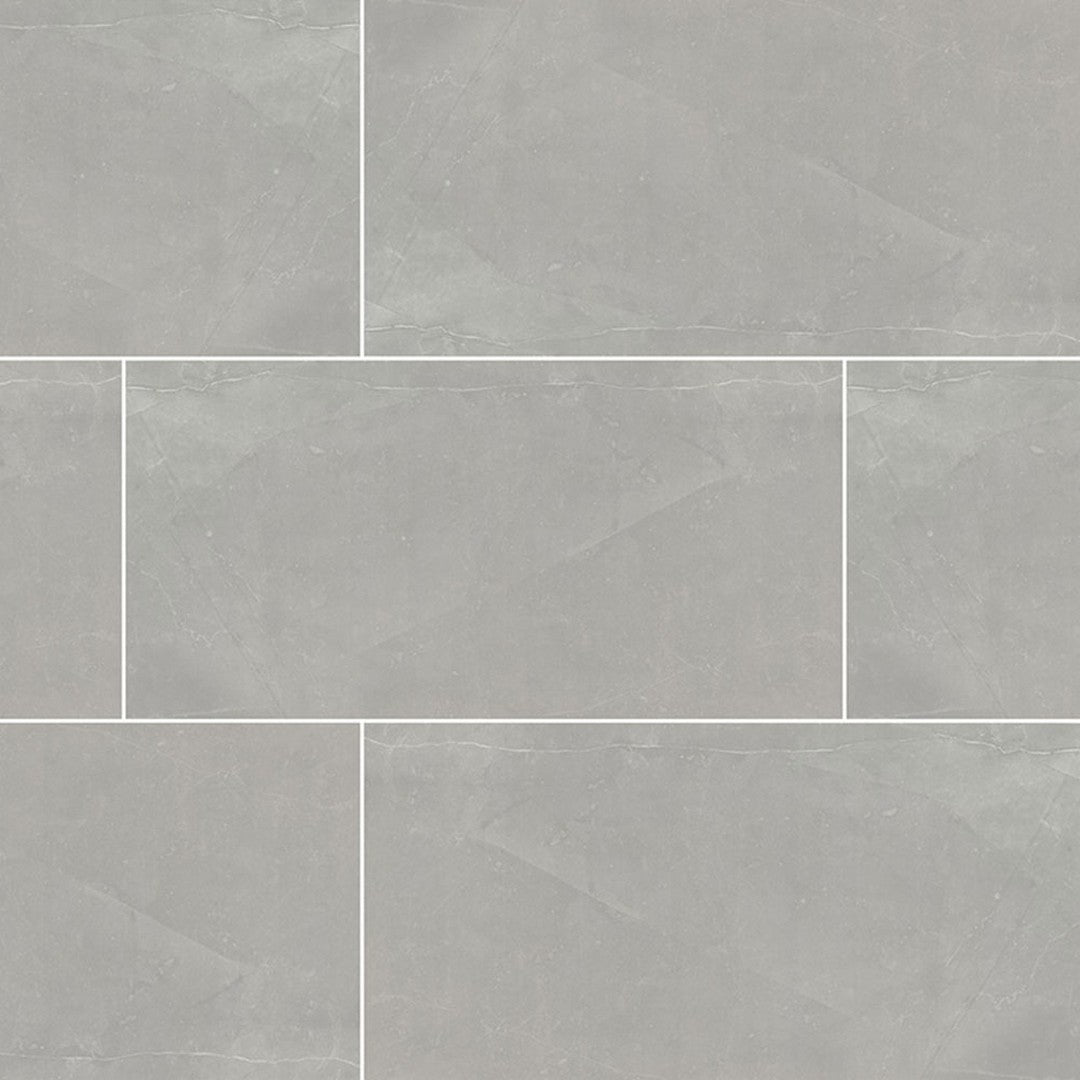 MS International Sande 24" x 48" Polished Porcelain Tile