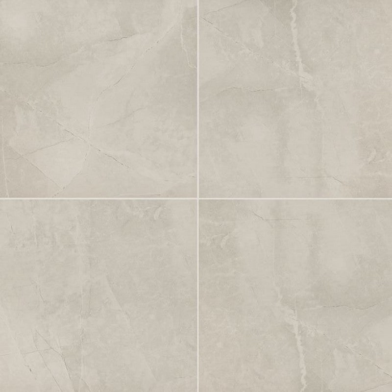 MS International Sande 24" x 24" Polished Porcelain Tile