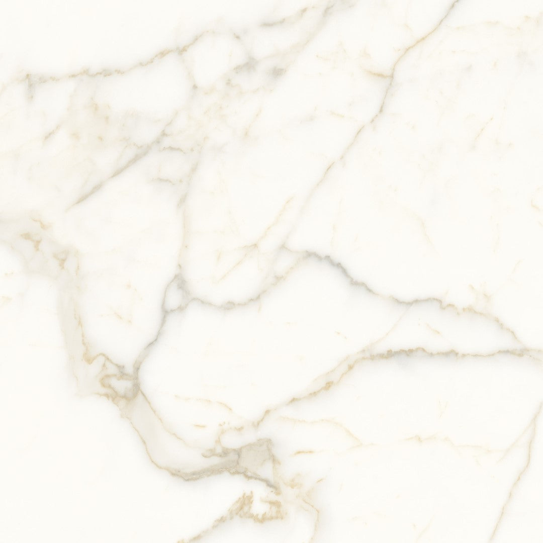 Daltile Ravel 32" x 32" Polished Porcelain Floor Tile