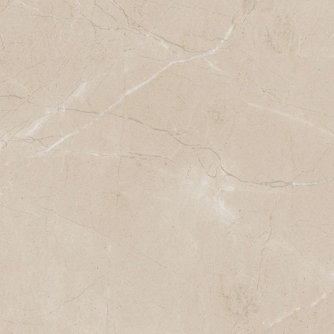 Daltile Perpetuo 12" x 12" Rectified Matte Porcelain Floor Tile