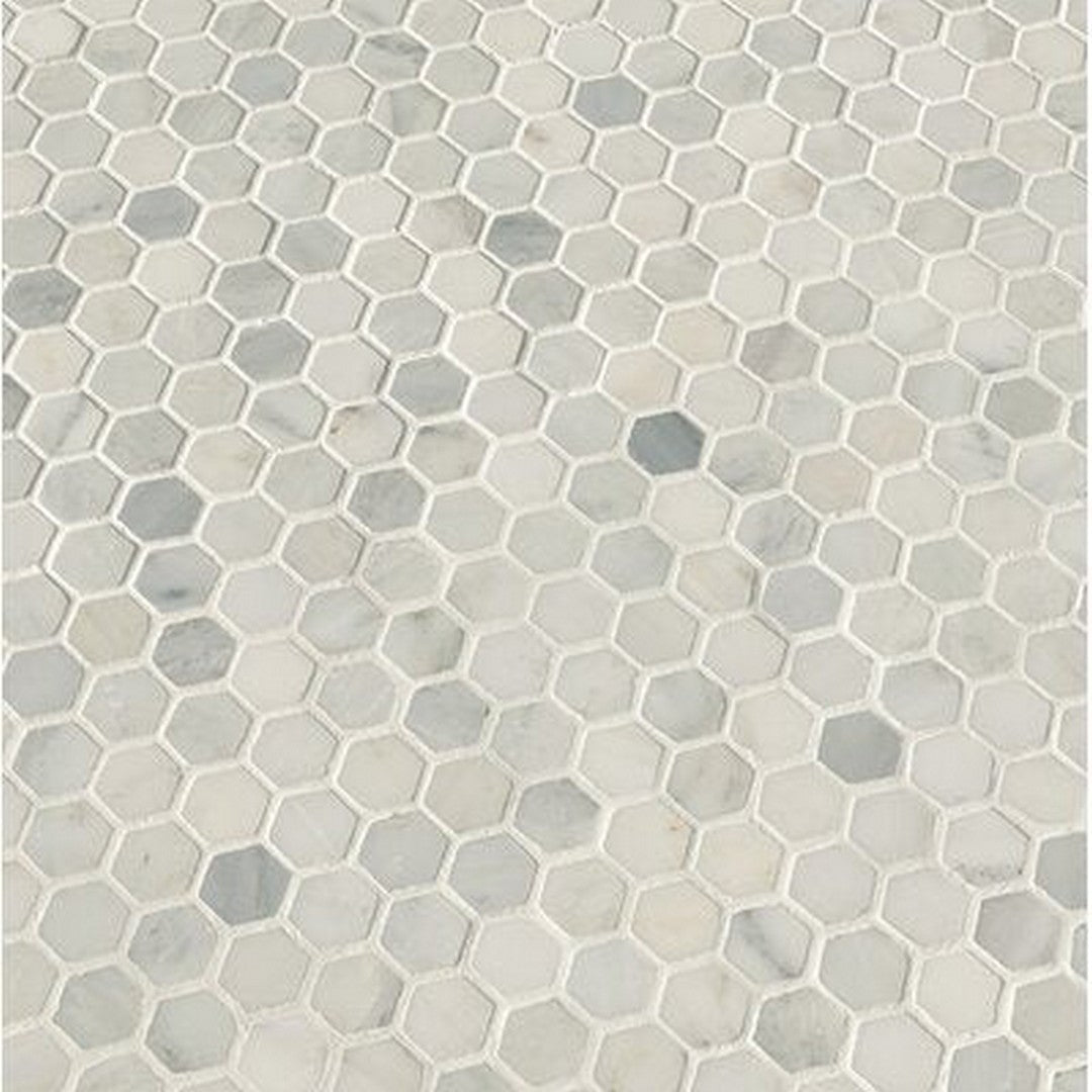 MS International Arabescato Carrara 12" x 12" Honed Marble Hexagon 1" Mosaic