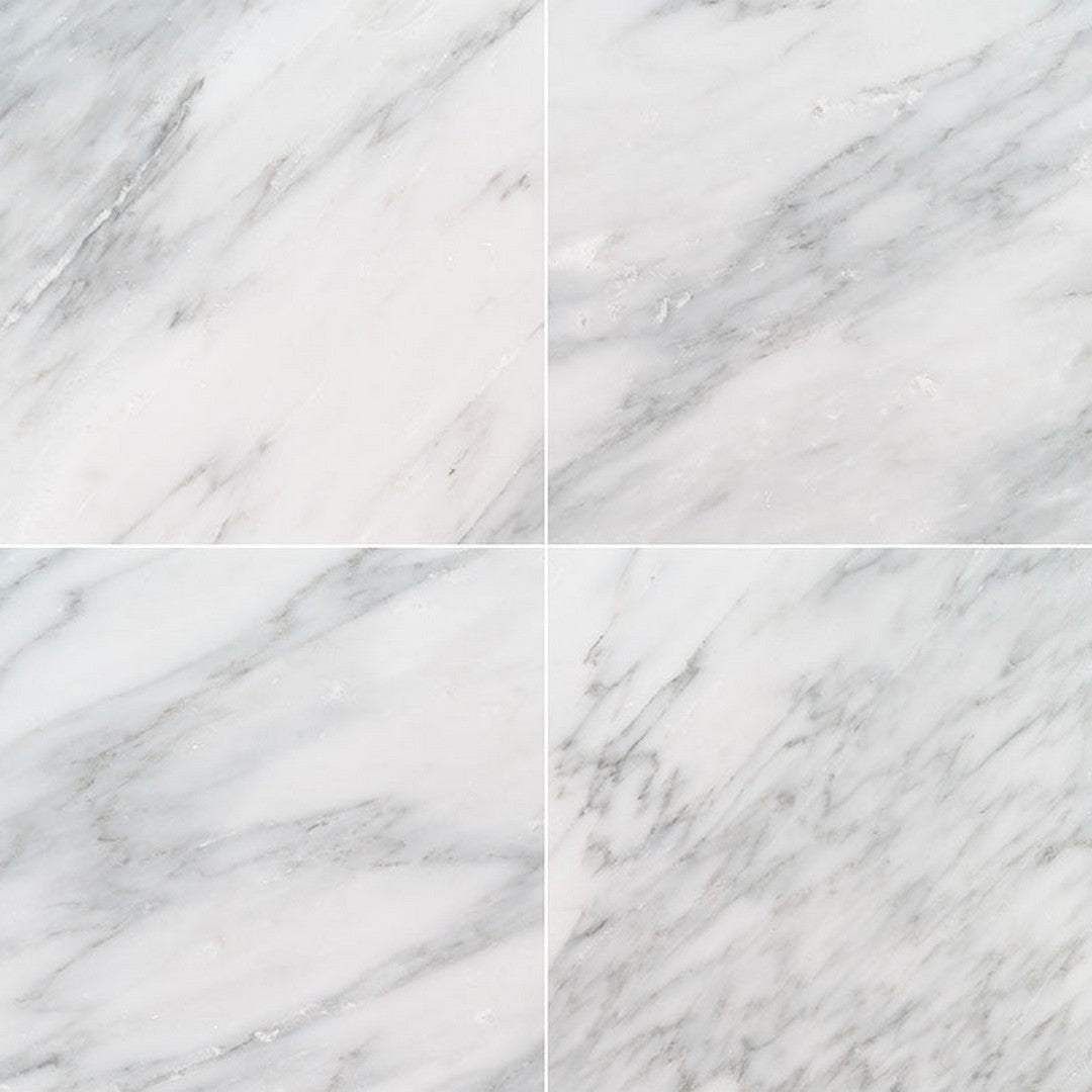 MS International Arabescato Carrara 12" x 12" Honed Marble Tile