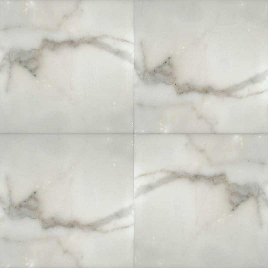 MS International Calacatta Gold 12" x 12" Honed Marble Tile