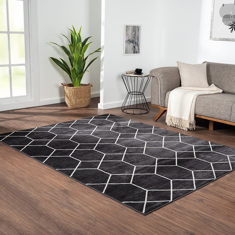 Averie Trellis Geometric Woven Area Rug